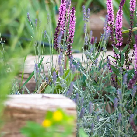 Monbuhim Comfort アパート ヴェスプレーム