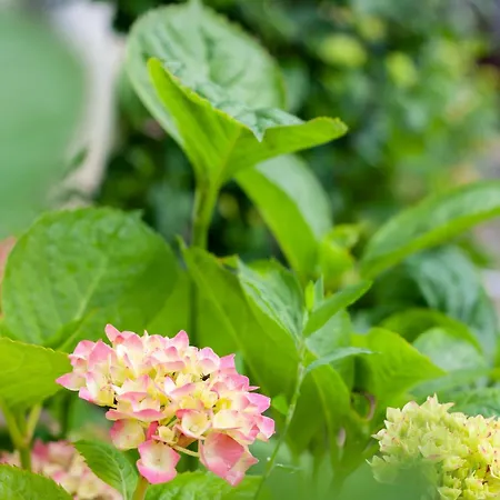 アパート Monbuhim Comfort *