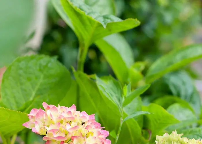 شقة Monbuhim Comfort *